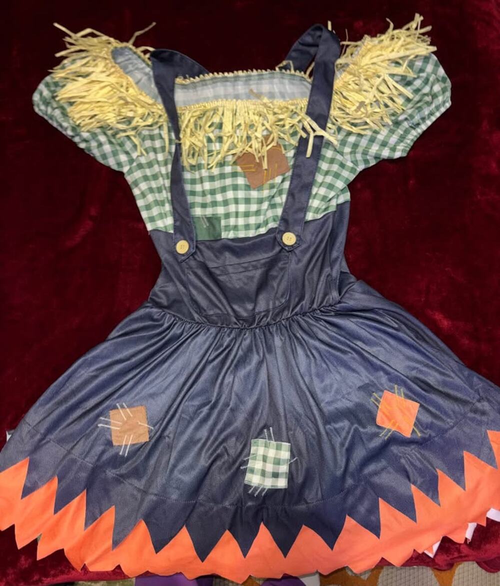 Scarecrow Costume- small